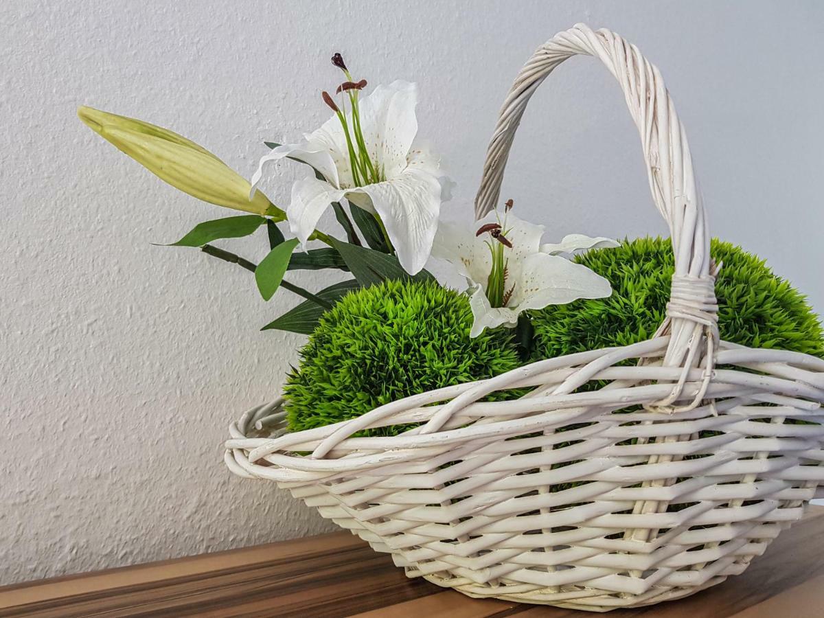 Ferienwohnung Naturnah جوسلار المظهر الخارجي الصورة