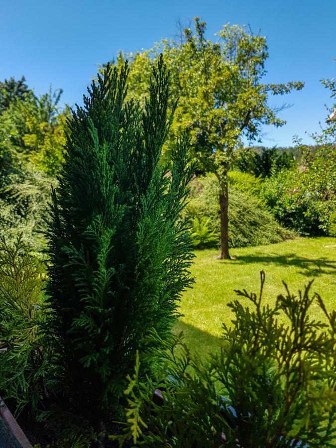 Ferienwohnung Naturnah جوسلار المظهر الخارجي الصورة